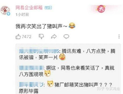 qq免费吃瓜扫一扫图片最新2024,扫一扫图片解锁新福利！  第1张