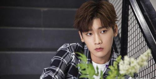 娱乐圈吃瓜爆料王琳凯,揭秘明星背后的故事  第3张