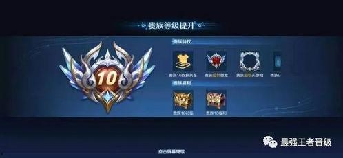 王者荣耀v10最新爆料,神秘英雄登场，战局再掀风云